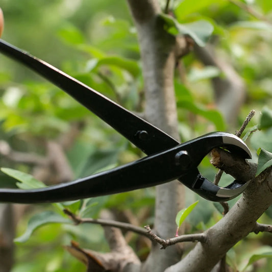 Alloet Bonsai Ball Joint Shears Round Nose Pliers Pruning Tools