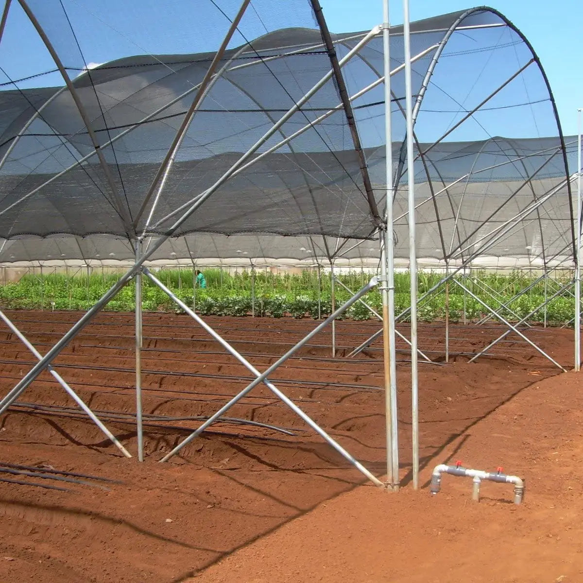 6.5 ft. x 20 ft. 50% Sunblock Shade Cloth Cover with Clips for Plants in Black