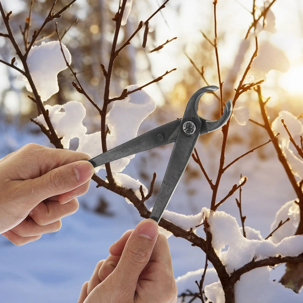 Alloet Bonsai Ball Joint Shears Round Nose Pliers Pruning Tools