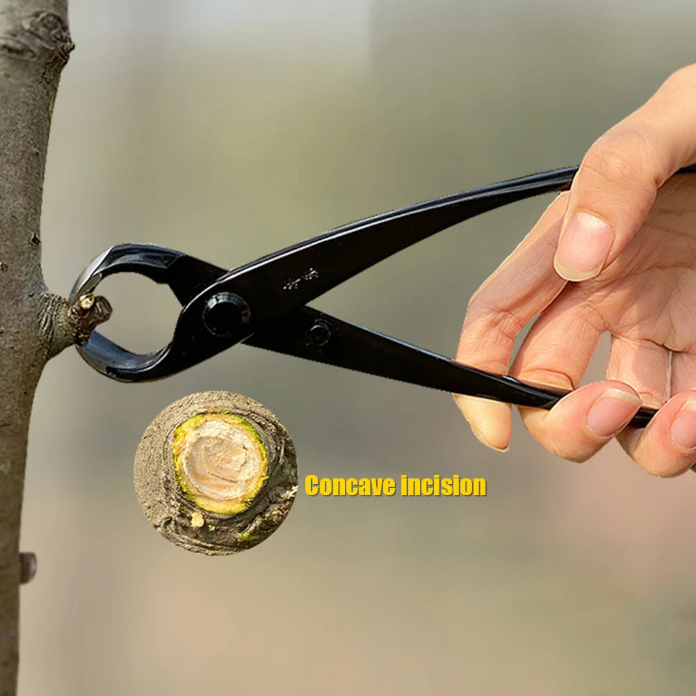 Alloet Bonsai Ball Joint Shears Round Nose Pliers Pruning Tools